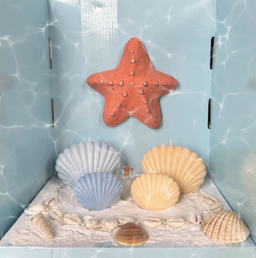 Les Coquillages